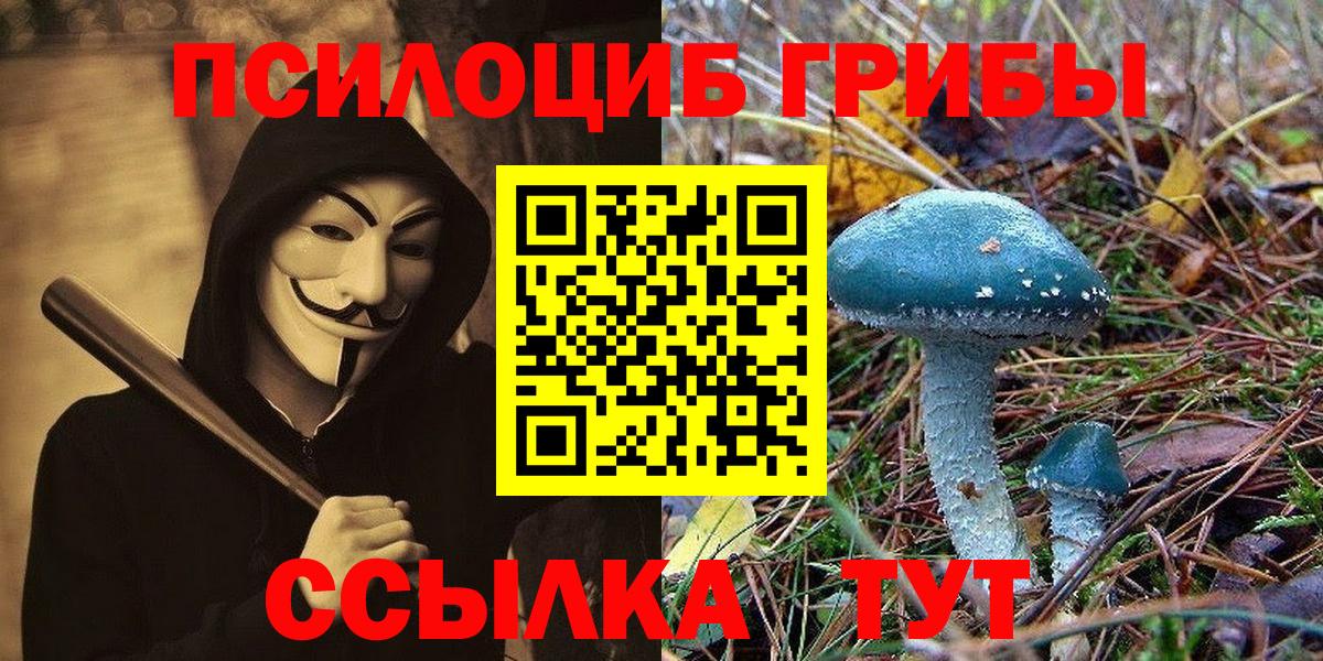 Псилоцибиновые грибы прущие грибы  Вход с VPN  Москва 